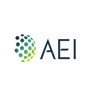 AEI Consultants logo